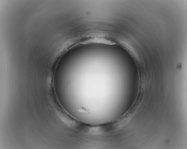 X0000093760309200710231257