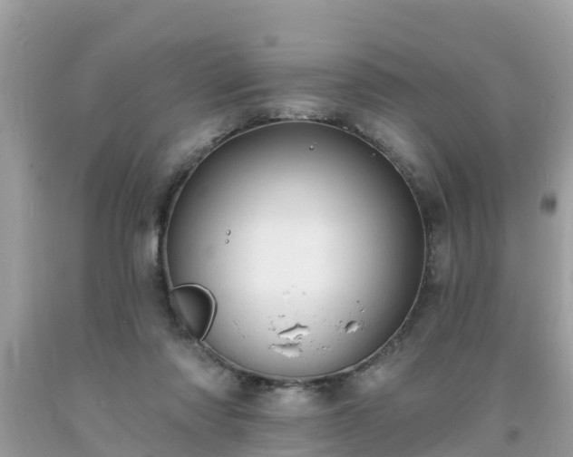 X0000093760310200710231257