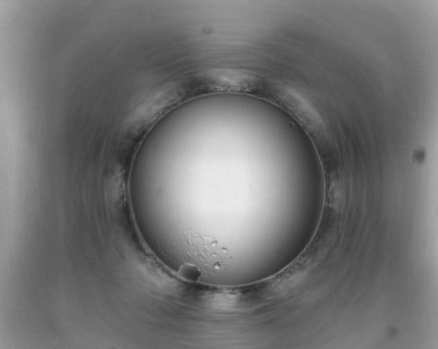 X0000093760318200710231257