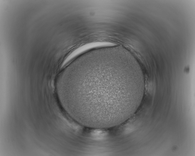 X0000093760319200710231257