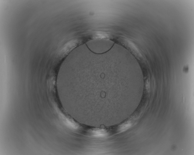 X0000093760322200710231257