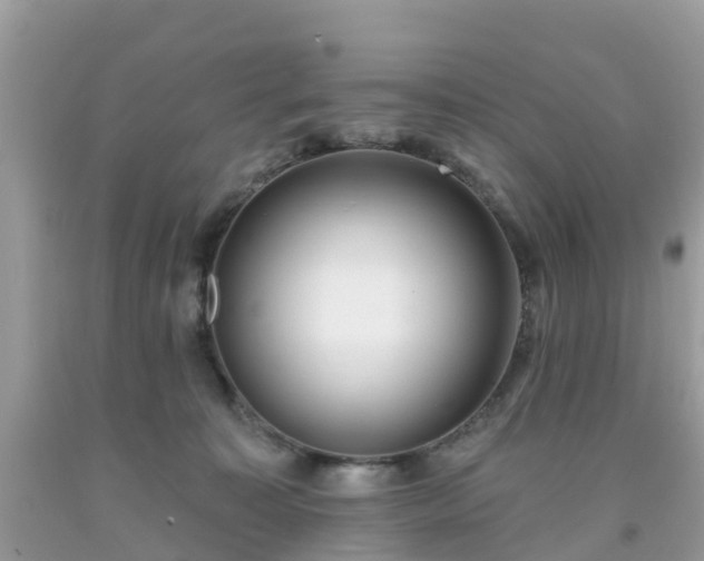 X0000093760323200710231257