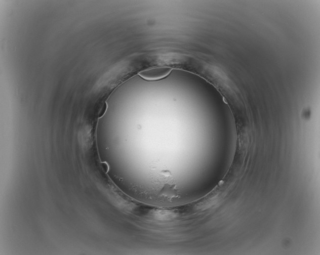 X0000093760327200710231257