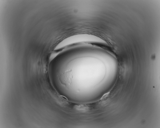 X0000093760331200710231257