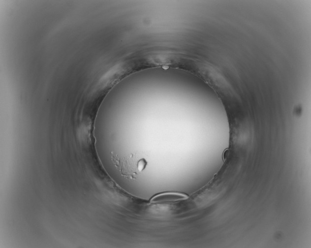 X0000093760332200710231257