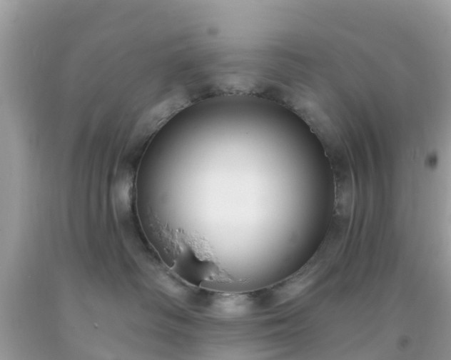 X0000093760334200710231257