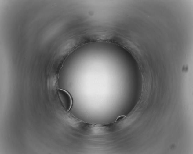 X0000093760336200710231257