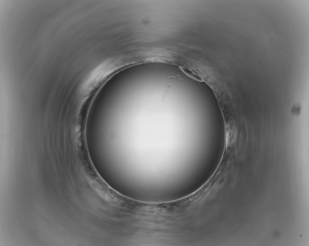 X0000093760339200710231257