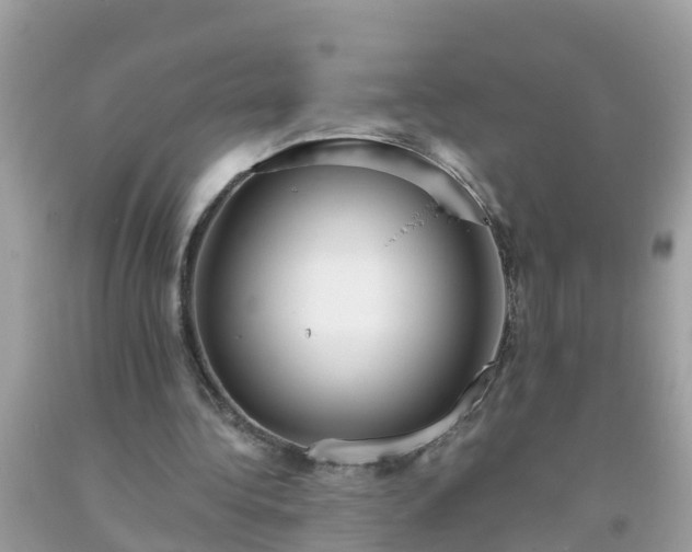 X0000093760340200710231257