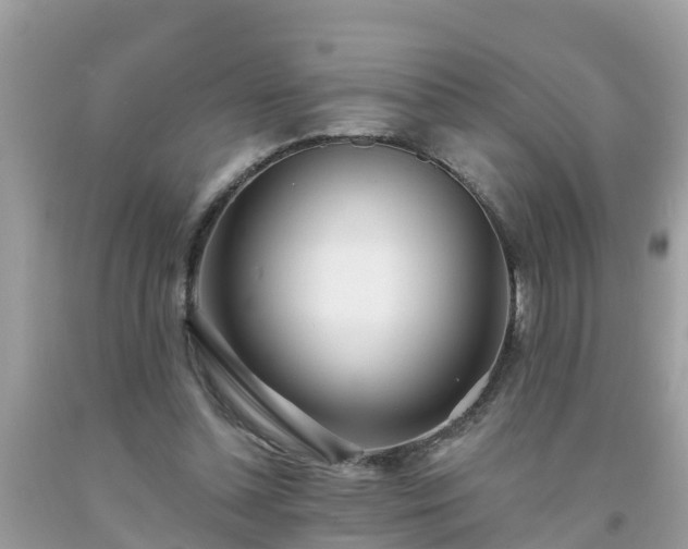 X0000093760348200710231257