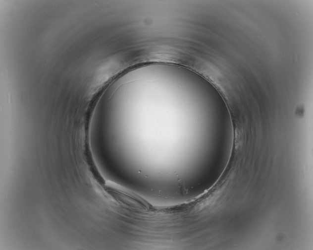 X0000093760349200710231257