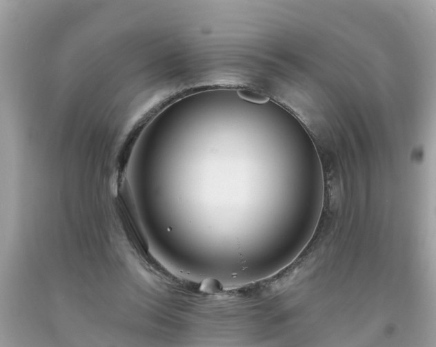 X0000093760350200710231257