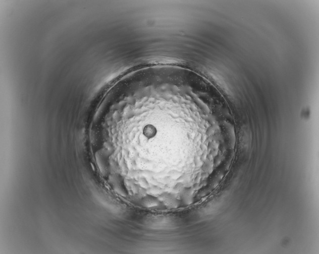 X0000093760351200710231257