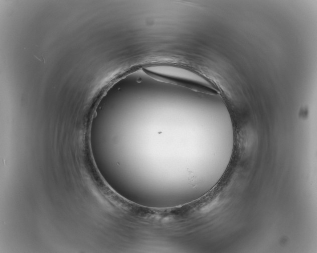 X0000093760352200710231257