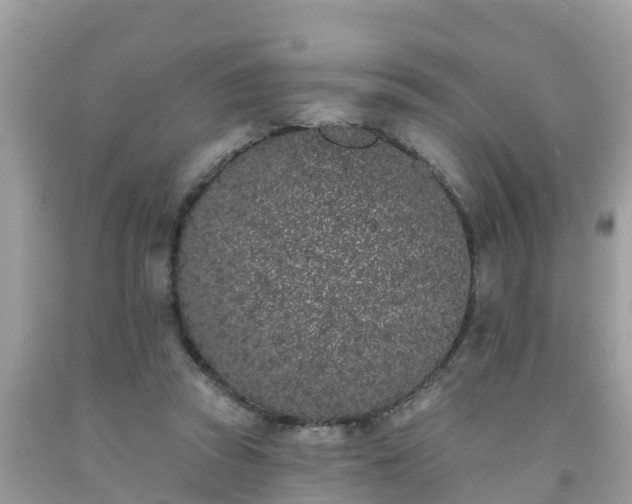 X0000093760353200710231257