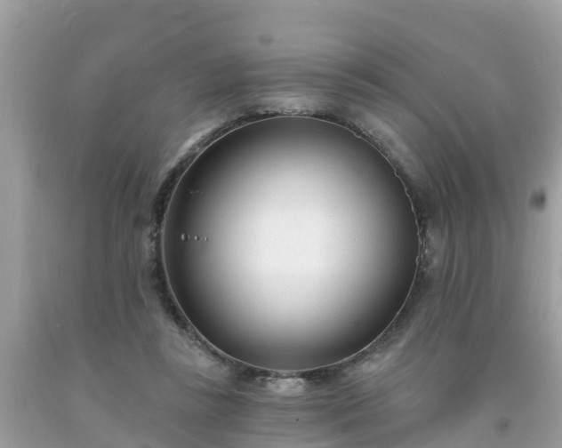 X0000093760355200710231257