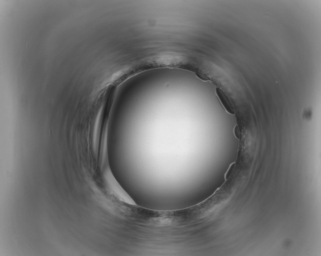 X0000093760356200710231257