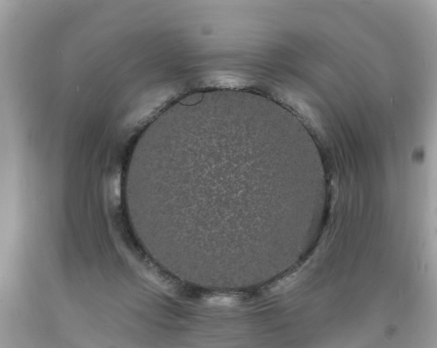 X0000093760358200710231257