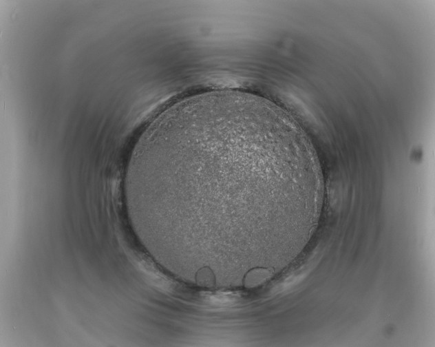 X0000093760359200710231257