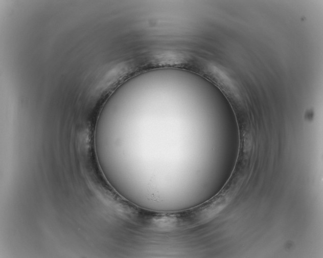 X0000093760362200710231257