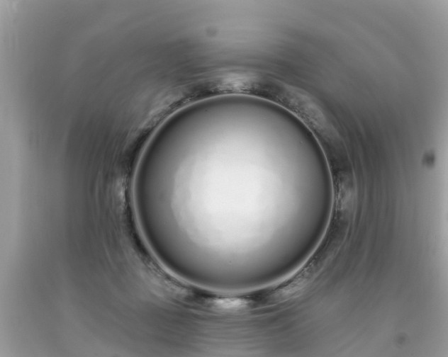 X0000093760363200710231257