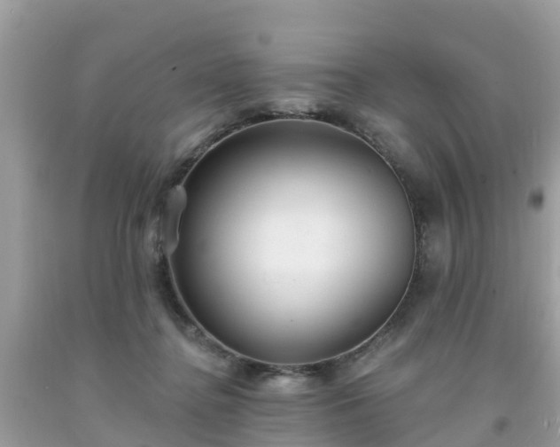 X0000093760364200710231257