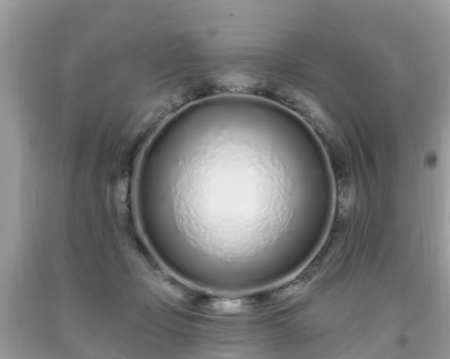 X0000093760365200710231257