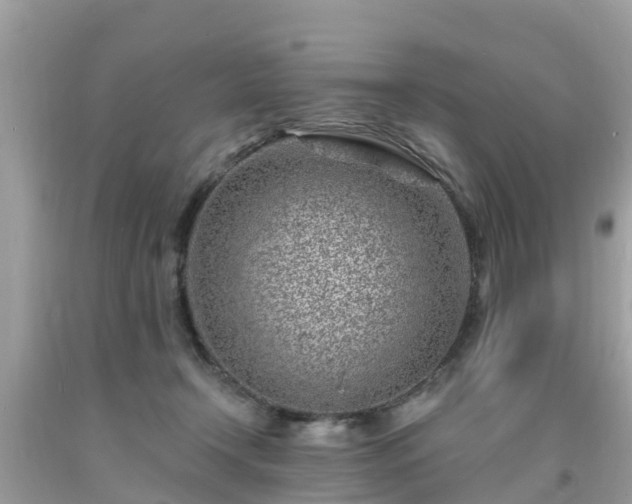 X0000093760366200710231257