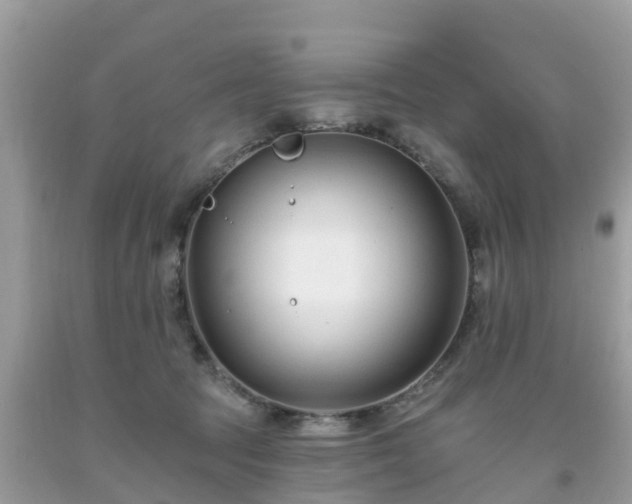 X0000093760369200710231257