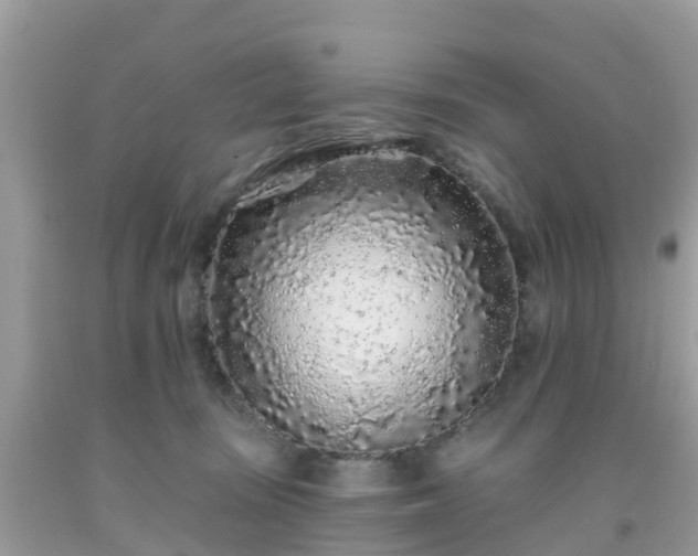 X0000093760371200710231257