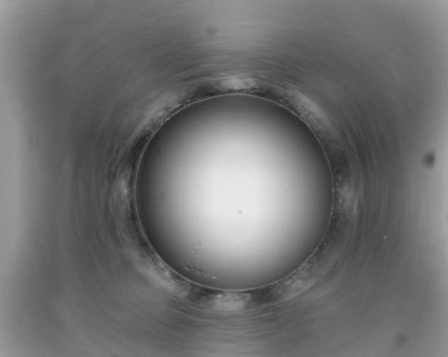 X0000093760373200710231257