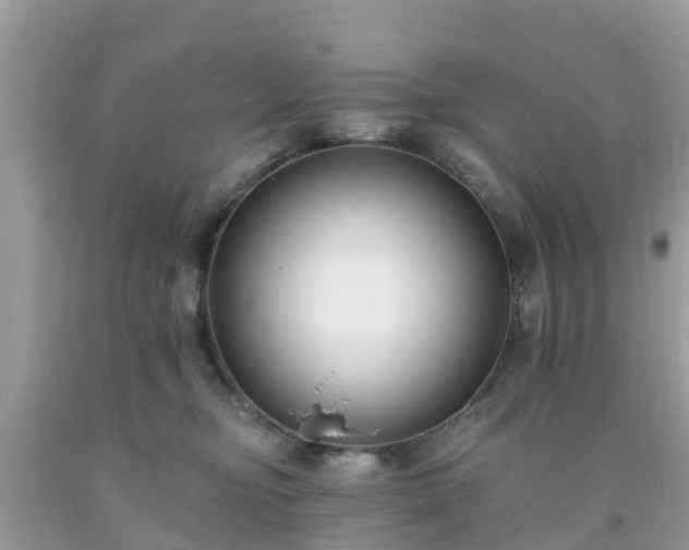 X0000093760374200710231257