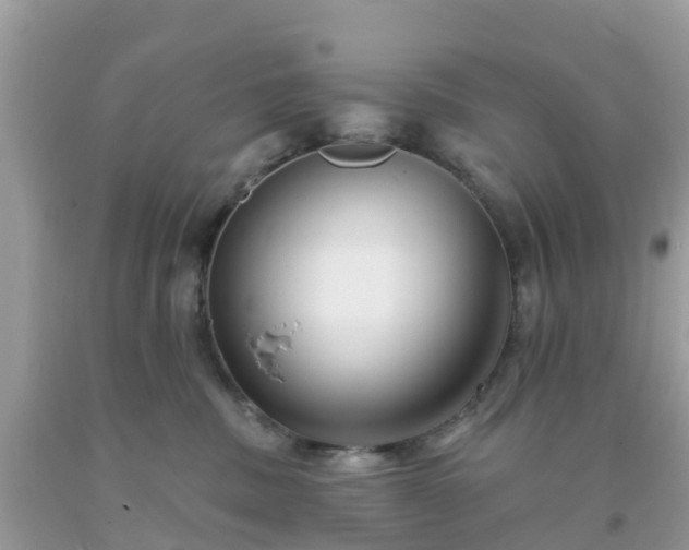 X0000093760379200710231257