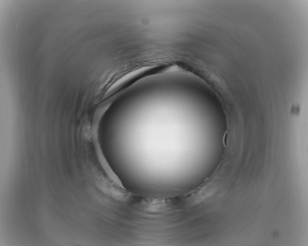 X0000093760384200710231257