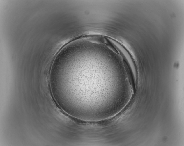 X0000093760385200710231257