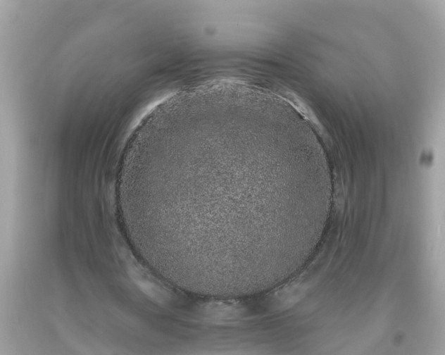 X0000093760386200710231257