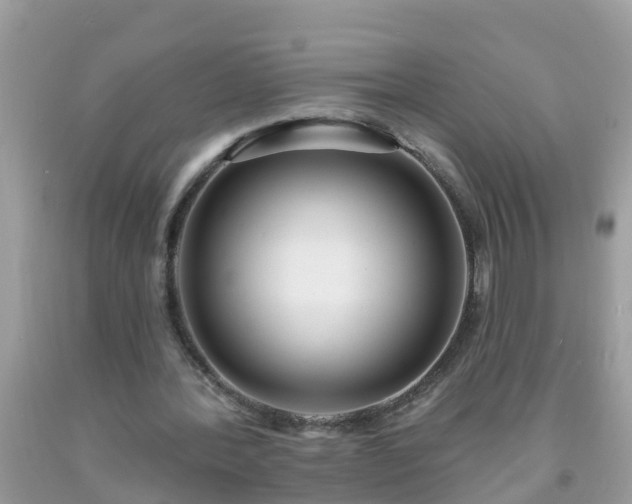 X0000093760388200710231257