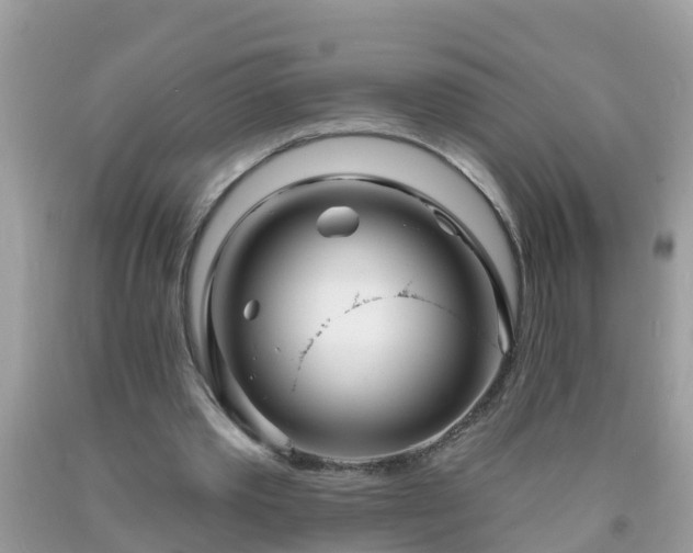 X0000093760389200710231256