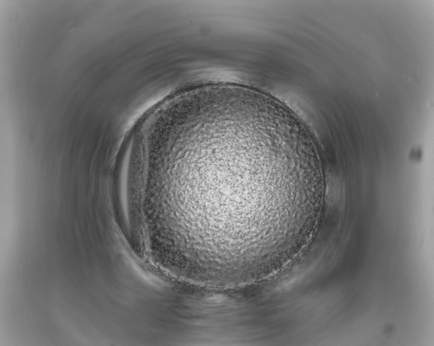 X0000093760390200710231256