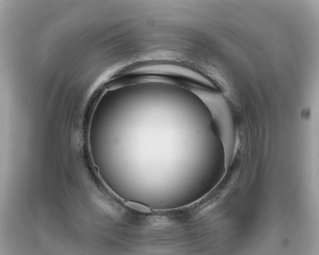 X0000093760392200710231256