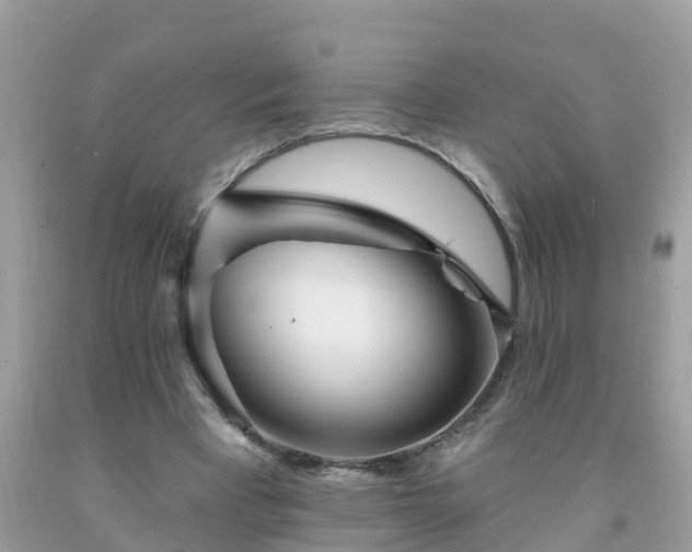 X0000093760393200710231256