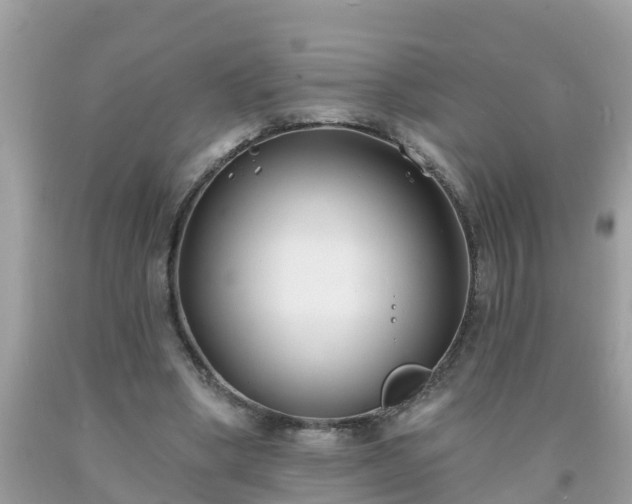 X0000093760394200710231256