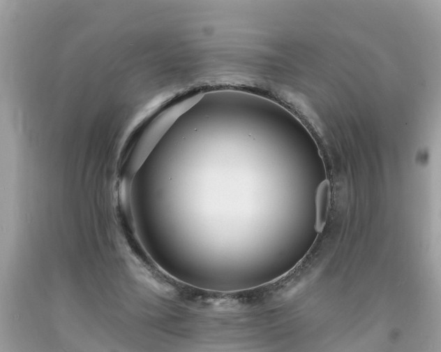 X0000093760395200710231256