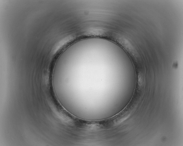 X0000093760396200710231256