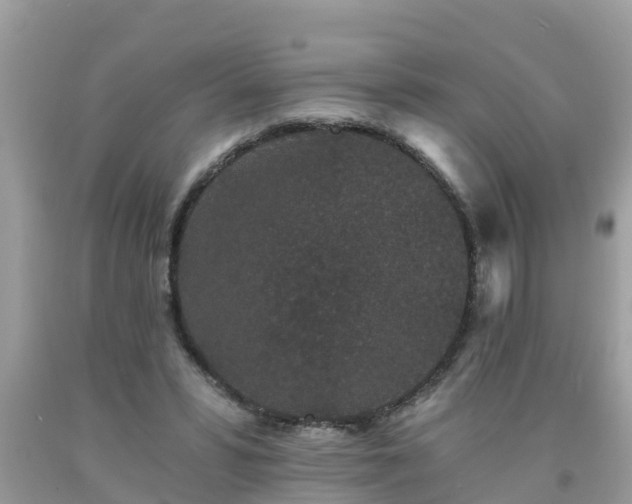 X0000093760399200710231256