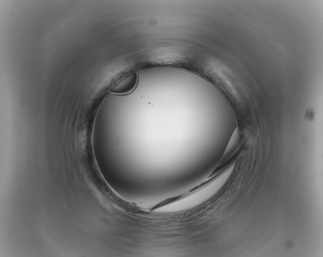 X0000093760400200710231256