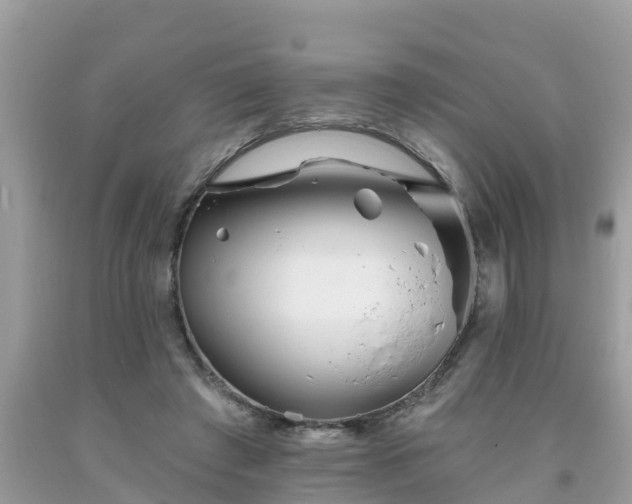 X0000093760401200710231256