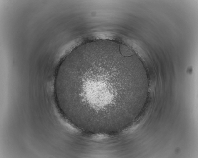 X0000093760402200710231256