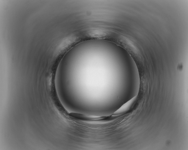 X0000093760404200710231256