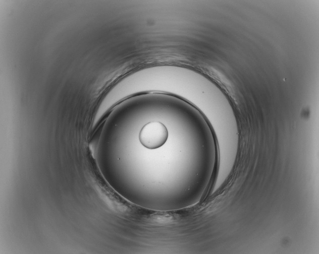 X0000093760405200710231256